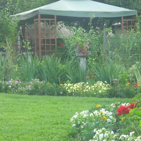 Farm Stay Lackovic Bilje Esterno foto