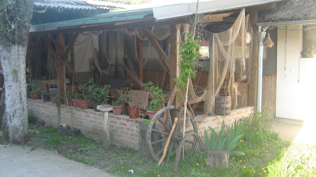 Farm Stay Lackovic Bilje Esterno foto