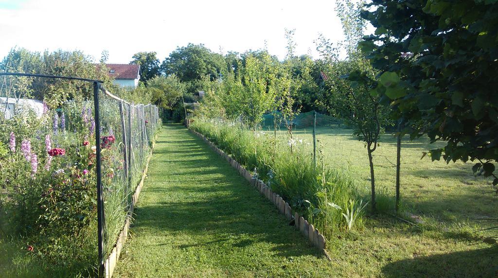 Farm Stay Lackovic Bilje Esterno foto