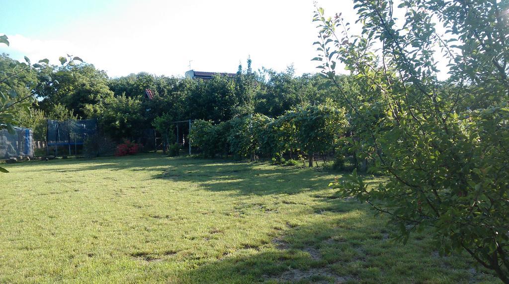 Farm Stay Lackovic Bilje Esterno foto