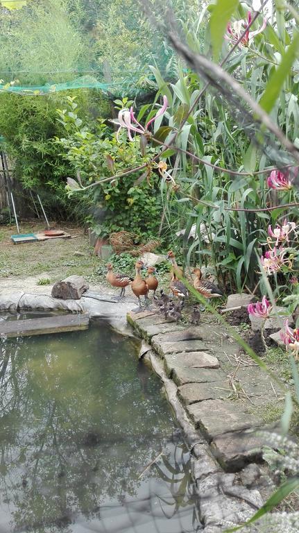 Farm Stay Lackovic Bilje Esterno foto