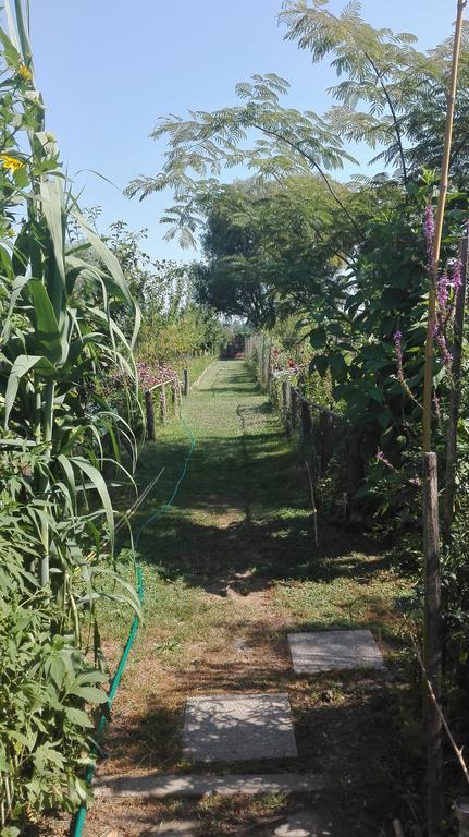 Farm Stay Lackovic Bilje Esterno foto