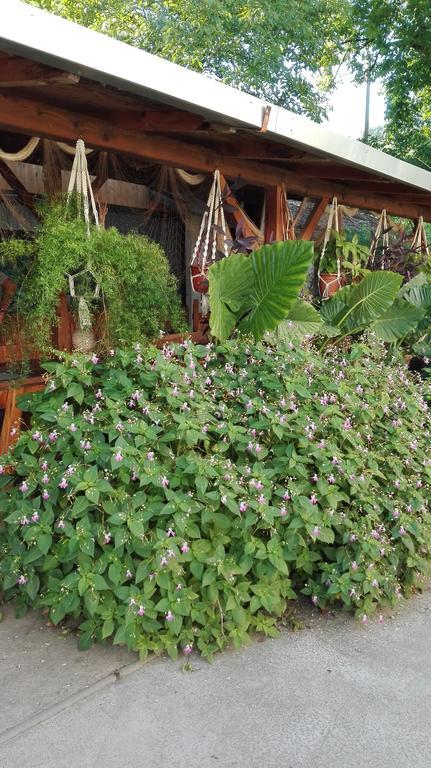 Farm Stay Lackovic Bilje Esterno foto